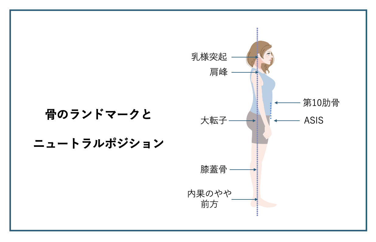 ピラティスにおける「ニュートラルポジション」とは？｜正しい姿勢の基本をわかりやすく解説