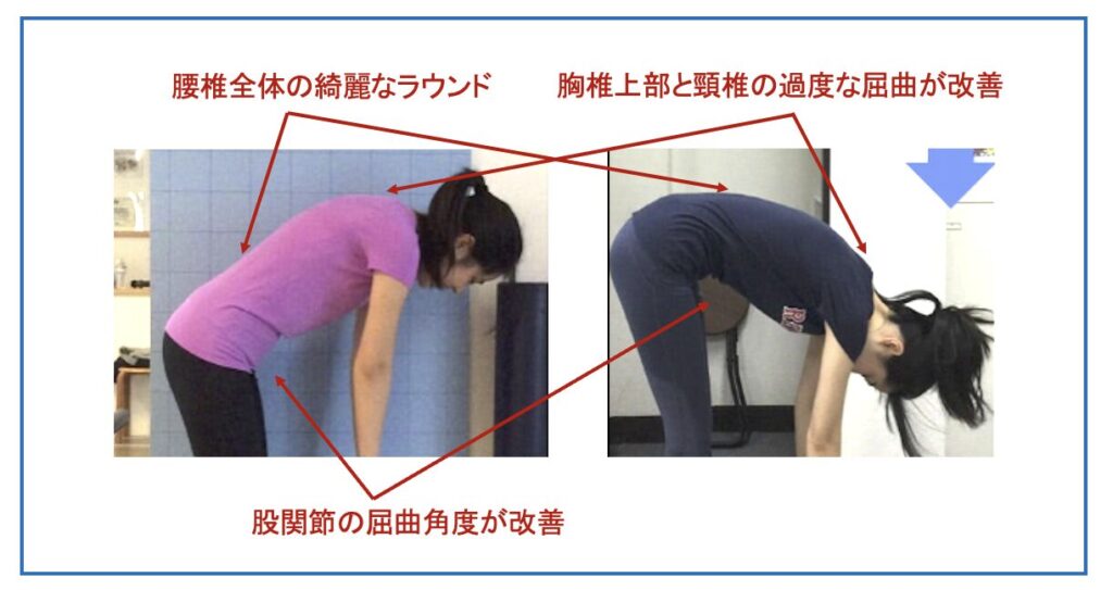 ピラティススタジオBB 田町の会員様の4年間のピラティス実践における立位体前屈の変化の拡大写真。脊柱全体に丸みを帯びている様子がわかる。