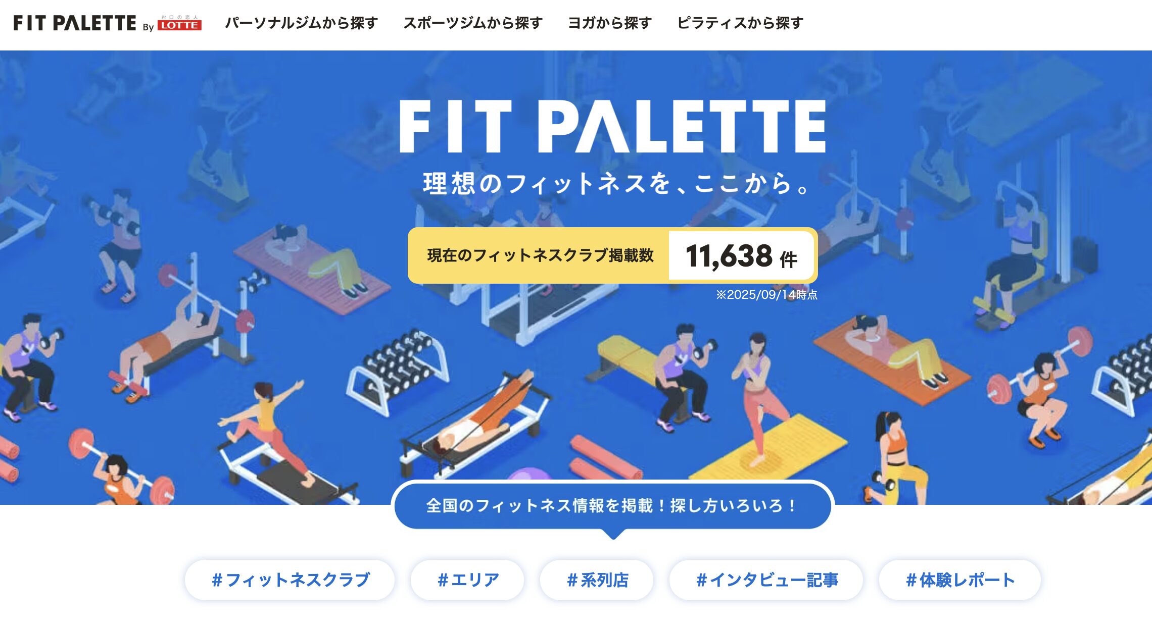ロッテ FIT PALETTEとは?特徴・使い方・メリットを徹底解説