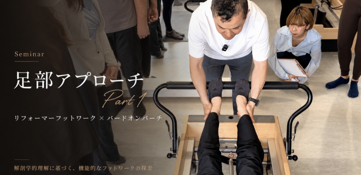【解説】足部へのアプローチPart 1 ― バードオンパーチから学ぶ、足部の機能解剖と実践