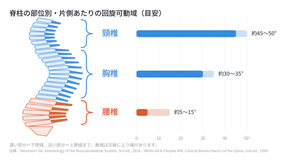 腰椎の回旋可動域が頸椎・胸椎に比べて小さいことを示すグラフ